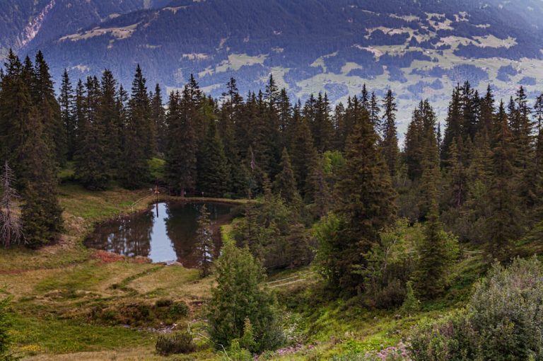 Unleashing the Wanderlust: Budget-Friendly Outdoor Adventures